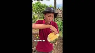 efek kuat Kalium Sulfat Magnesium Sulfat SOP Meroke Tetap Jaya, Mag S Mikro lengkap