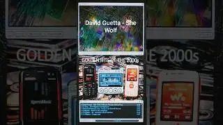 David Guetta - She Wolf #music #oldsong #dj #hitsong #hausermusic #club #oldmusic