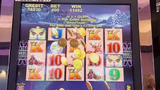 TimberWolf slot Big Bonus Win