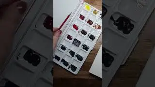Meeden Palette - 33 Wells! ⭐️#short #meeden #watercolorpalette
