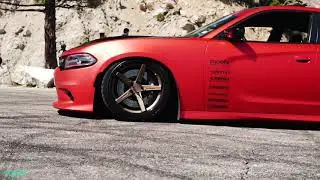 Dodge Charger на Vertini RFS1.7