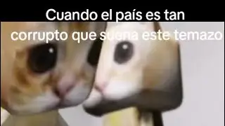 Cuando el pa&iacute;s es tan corrupto que suena este temazo🗣 @deimak_2026