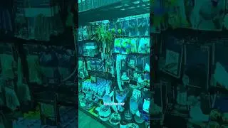Testing Cat Vision Filter while Shopping for my Cats! #shorts