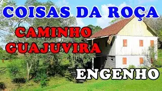 CAMINHOS DO GUAJUVIRA - ARAUCÁRIA E CONTENDA PARANÁ