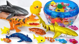[🐠Toy asmr🐠] RC Crocodile & RC Shark & Whale & Zuru Fish & Aquarium ASMR Satisfying with Unboxing