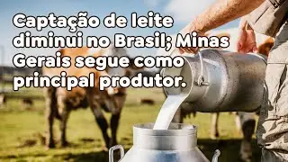 Capta&ccedil;&atilde;o de leite diminui no Brasil; Minas Gerais segue como principal produtor.
