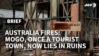 Australia's bushfire crisis turns off tourists | AFP