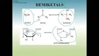 FOOD CHEMISTRY - CARBOHYDRATES - PART 2 | FOOD TECHNOLOGY