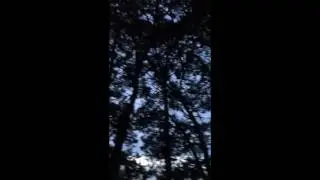 Fireflies at Midway Park Campgrounds in Waco, Texas