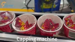 Automatic Capping Machine with Plastic Cap , Plastic Cover Capper Machine , dust proof cap capper