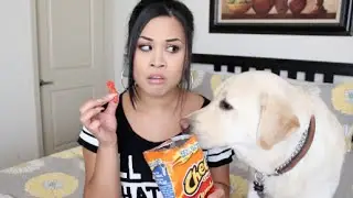 Q&A : TATTOOS, Twins & Junk Food?!