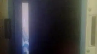 Rap do articuno, moltres e zapdos