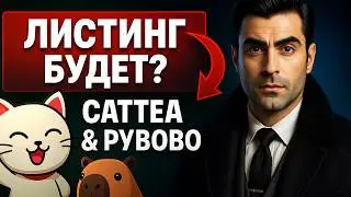 CATTEA И CAPYBOBO: Что Показали Листинги И Чего Ждать Дальше?