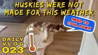 hot hot husky hot