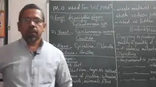 ENHANCEMENT IN FOOD PRODUCTION.MICRORGANISM USED FOR SCP,ADVANTAGES OF SCP,BIOFORTIFICATION. PART 16