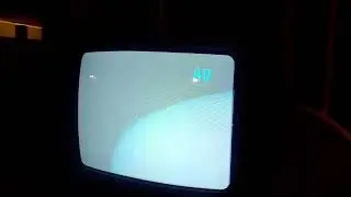 White Screen Of Death Static And Moaning Sound On My The Adventures Of Milo And Otis 1989 Vhs