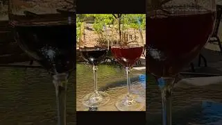 Idle Hour Winery & Kitchen #campinglife #fulltimervers #rvlife #winetasting