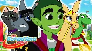 Tüm Evcil Hayvanlar Dışarı | 513 | DC Super Hero Girls Türkiye