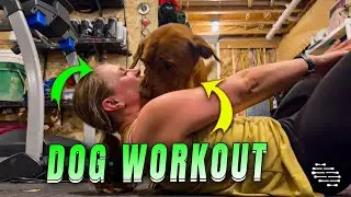 Playful Dog Doesn&rsquo;t Want To Let Owner Workout