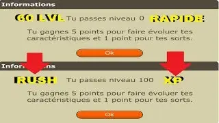 DOFUS RETRO : RUSH XP +60 LVL EN UNE MATINEE !