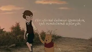 Taylor Swift - Robin (Türkçe Çeviri)