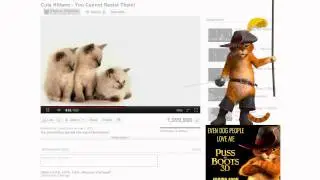Puss In Boots: Cute Kittens - You Cannot Resist Them!