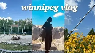 vlog. thoughts on zoos 🐅 living with cats 🐈 life in winnipeg, mb