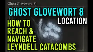 Ghost Glovewort 8 Location & How to get into and get out of the Leyndell Catacombs | Elden Ring