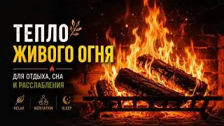 Тепло живого огня 🔥 Для отдыха, сна и расслабления🌿