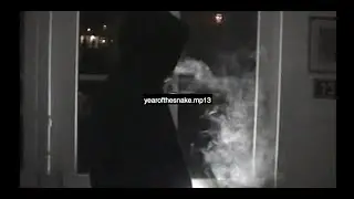 CHICO CHICAGO - yearofthesnake.mp13 (RARE)