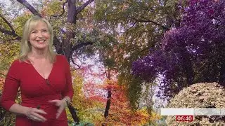 Carol Kirkwood - BBC Breakfast Weather 22/10/2020 - HD