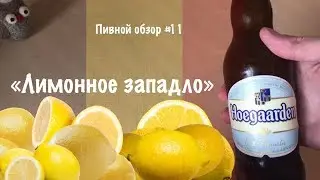 Hoegaarden Wit Blanche - Лимонное западло (Обзор пива Хугарден) - Обзор пива #11