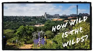 Walking in the Wilds nature reserve in Johannesburg. How wild is The Wilds?
