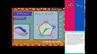 Yellow Scarf glitch (Pok&eacute;mon Ruby/Sapphire JP)
