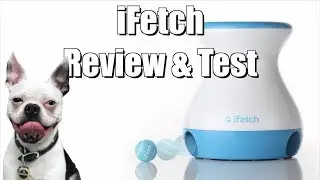 iFetch Frenzy Toy Review