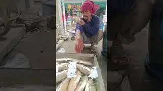 তারাইল বাজার চ্যানেল সাবস্ক্রাইব করুন। Robin vlogs #fish #viral video #fishing 