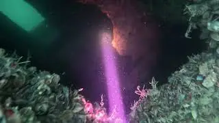 Pioneer wreck diving site - Sozopol, Bulgaria 2024
