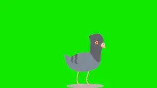 pigeons animated cartoon green screen video for youtubers copyright free to use