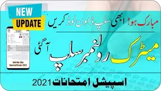 Roll No Slip For Matric Special Exam 2021 BISE Bahawalpur |Class 10th Special Exam Roll No Slip 2021