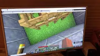 Minecraft Rainbow Sheep 1.15 Java Edition