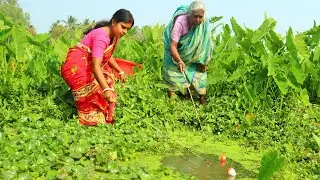 O M G😮 || Catching Catfish By Hook | Village Woman & Grandma Fishing In Beautiful Natural