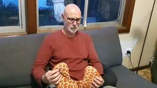 Bob's in-flight comfort. Pre Europe, 2022 07 03