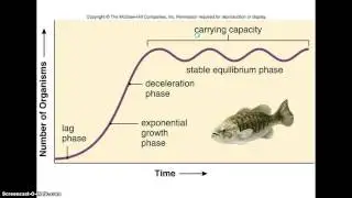 Population Dynamics