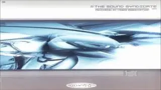 VA -  The Sound Syndicate & Psychedelik Vibes Association 2004 (Full Album)