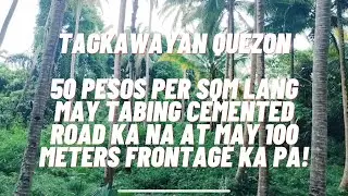 VLOG 75 / TAGKAWAYAN QUEZON / 5 HECTARES NA MALAPIT SA CEMENTED BARANGAY ROAD 2.3 MILLION LANG!!