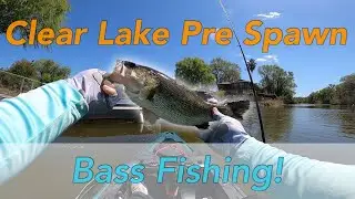 Clear Lake California Pre Spawn Bass Fishing! (Lost a big one)