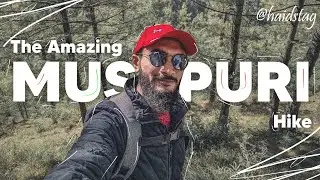 Mission Mushkpuri peak completed !