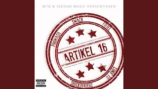 Artikel 16