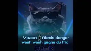 Vpaon x Alexis donger -wech wech gagne du fric [Remix]