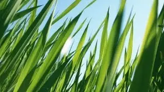 SASSY GRASS- Make up tutorial